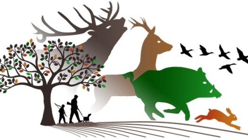 Chasse : ouverture et cloture