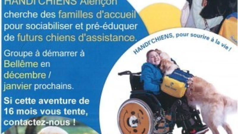 Animaux