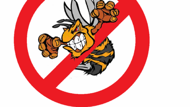 Frelons, guêpes, abeilles